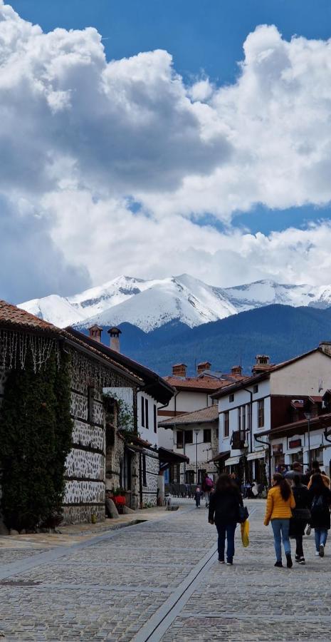 Green Life, Bansko, Private Studio C-17 Εξωτερικό φωτογραφία